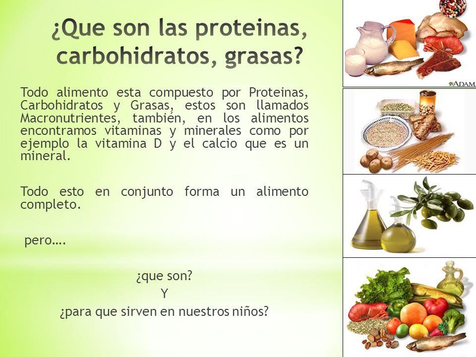 en k alimentos se encuentran los carbohidratos y las grasas